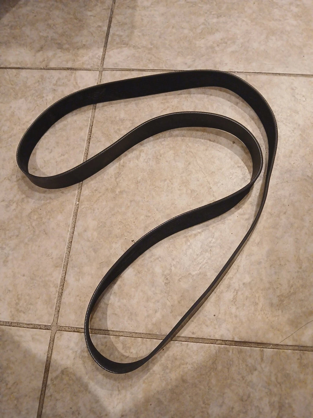 Accessory Drive Belt 01-32731-885   10 Rib, 1885 mm, MT610 - Image 4