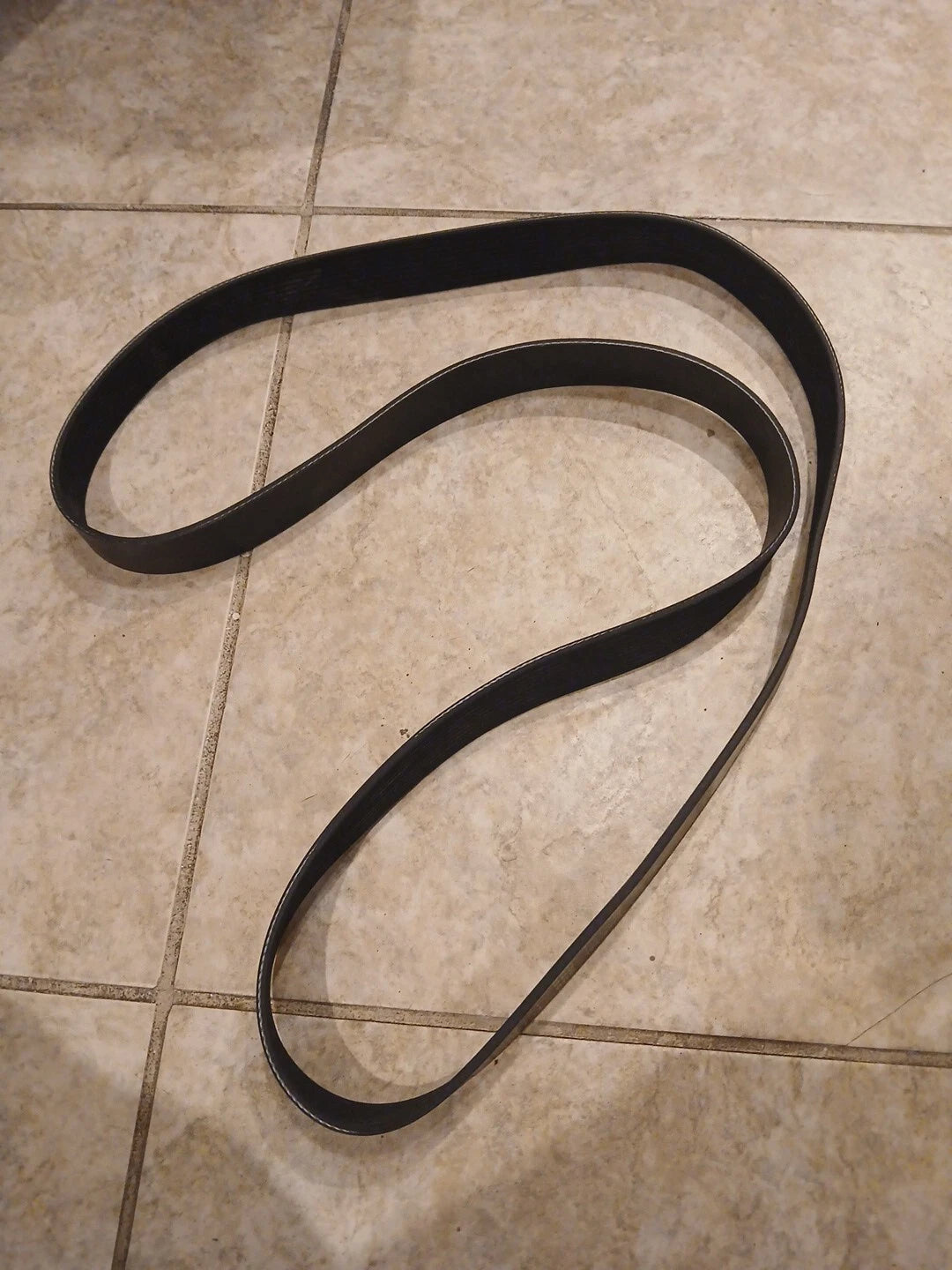Accessory Drive Belt 01-32731-885   10 Rib, 1885 mm, MT610 - Image 4