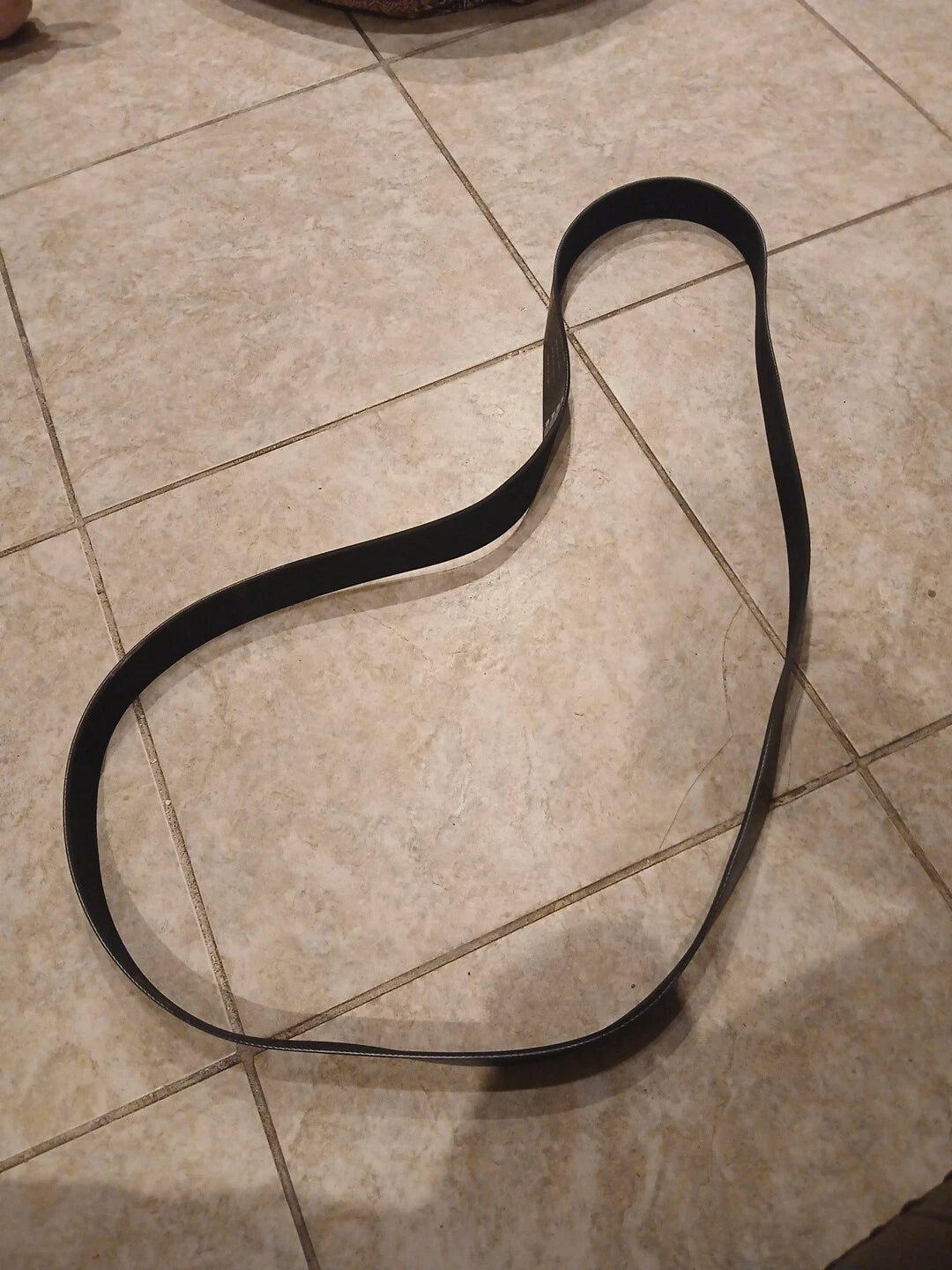 FREIGHTLINER 01-34693-124 - Accessory Drive Belt - 12 Rib, 2124 mm, ISX Fan