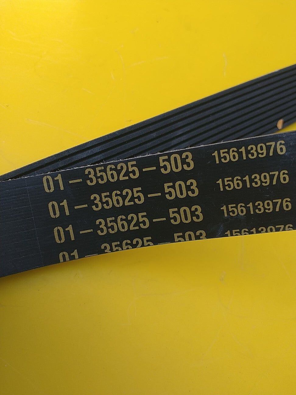 FREIGHTLINER OEM BELT, 10 RIB, 1503MM, HDEP F 01-32731-503